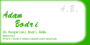 adam bodri business card