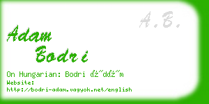 adam bodri business card